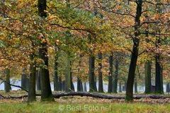 2019-Hoge-Veluwe-08