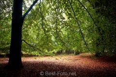 2019-Hoge-Veluwe-11