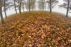 2019-Hoge-Veluwe-12