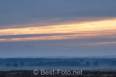 2019-Hoge-Veluwe-22