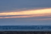 2019-Hoge-Veluwe-22