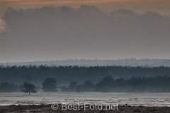 2019-Hoge-Veluwe-monchrome-13