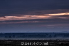 2019-Hoge-Veluwe-monchrome-14