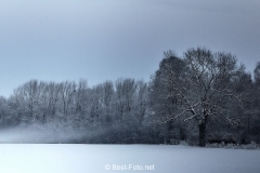 2019 Winter Pannesheide-01