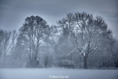 2019 Winter Pannesheide-04