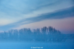 2019 Winter Pannesheide-05