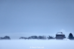 2019 Winter Pannesheide-09