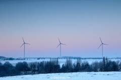 2019 Winter Pannesheide-11