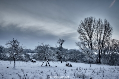 2019 Winter Pannesheide-14