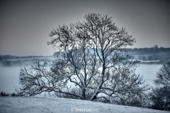 2019 Winter Pannesheide-19