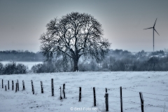 2019 Winter Pannesheide-23