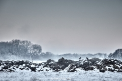 2019 Winter Pannesheide-24