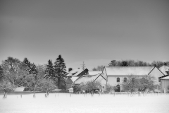 2019 Winter Pannesheide-28