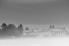 2019 Winter Pannesheide-30