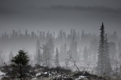 erster Schnee im Jämtland