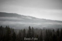 Nebel im Sönfjället-Nationalpark