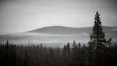 Nebel im Sönfjället-Nationalpark