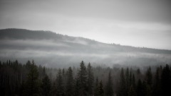 Nebel im Sönfjället-Nationalpark