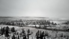 Erster Schnee im Jämtland, Schweden