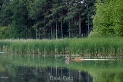 2022-Lausitz-10