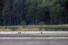 2022-Lausitz-12