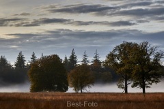 2022-Hoge-Veluwe-01