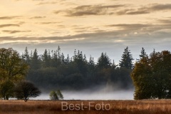 2022-Hoge-Veluwe-02