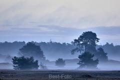 2022-Hoge-Veluwe-03