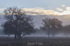 2022-Hoge-Veluwe-04