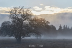 2022-Hoge-Veluwe-05
