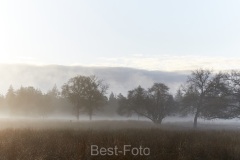 2022-Hoge-Veluwe-07