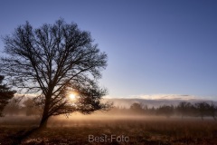 2022-Hoge-Veluwe-08