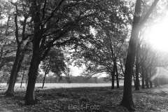 2022-Hoge-Veluwe-11