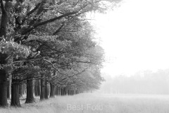 2022-Hoge-Veluwe-12