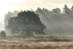 2022-Hoge-Veluwe-31