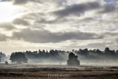 2022-Hoge-Veluwe-32