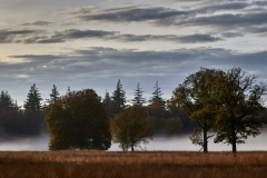 2022-Hoge-Veluwe-01