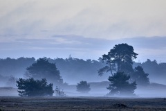 2022-Hoge-Veluwe-03