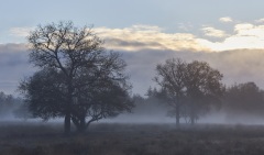 2022-Hoge-Veluwe-04