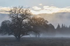 2022-Hoge-Veluwe-05