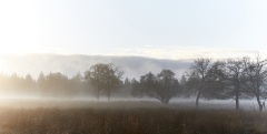 2022-Hoge-Veluwe-07