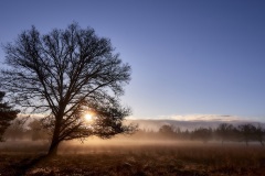 2022-Hoge-Veluwe-08