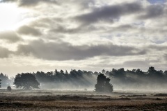 2022-Hoge-Veluwe-32