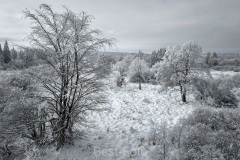 2023-Hohes-Venn-im-Winter-02