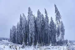 2023-Hohes-Venn-im-Winter-04