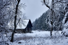 2023-Hohes-Venn-im-Winter-06