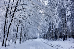 2023-Hohes-Venn-im-Winter-07