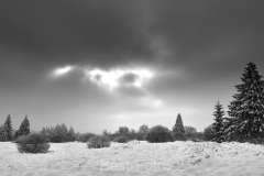 2023-Hohes-Venn-im-Winter-09