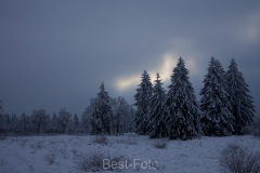 2023-Hohes-Venn-im-Winter-11