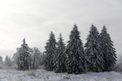 2023-Hohes-Venn-im-Winter-12